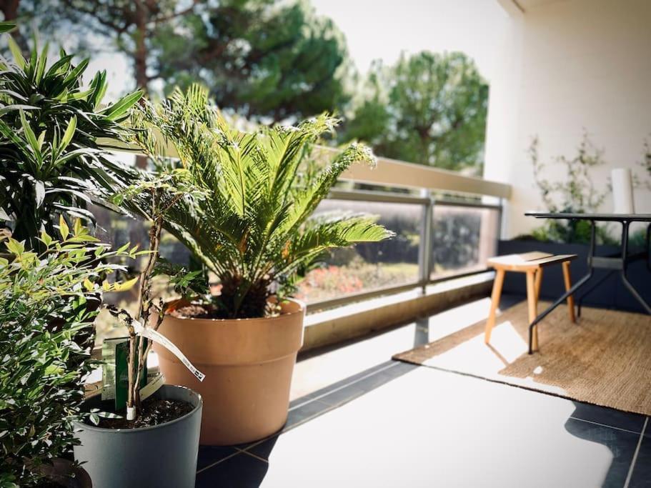 Design 110M2 2Br Terrace & Parking Near Center Lejlighed Aix-en-Provence Eksteriør billede