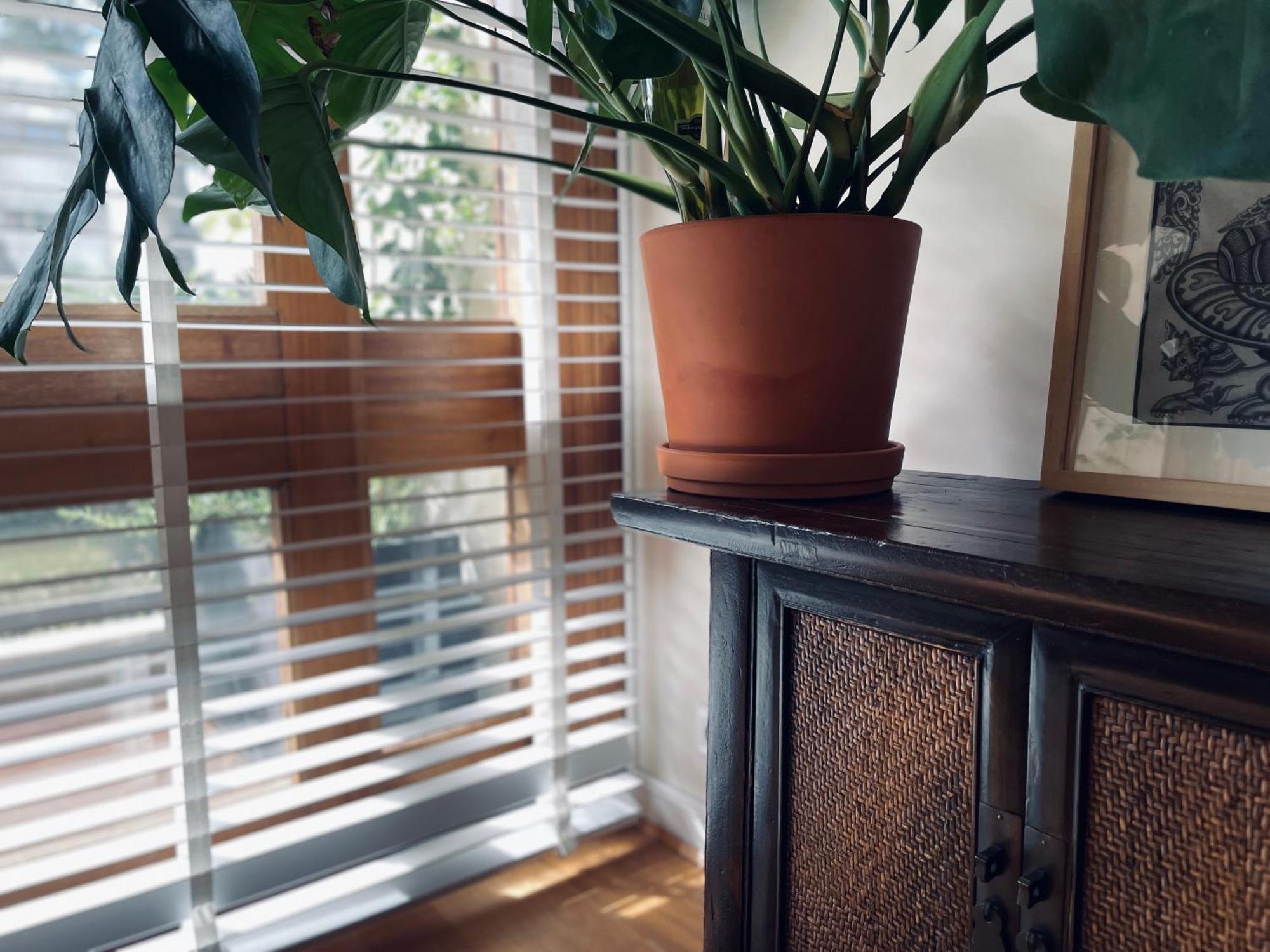 Design 110M2 2Br Terrace & Parking Near Center Lejlighed Aix-en-Provence Eksteriør billede