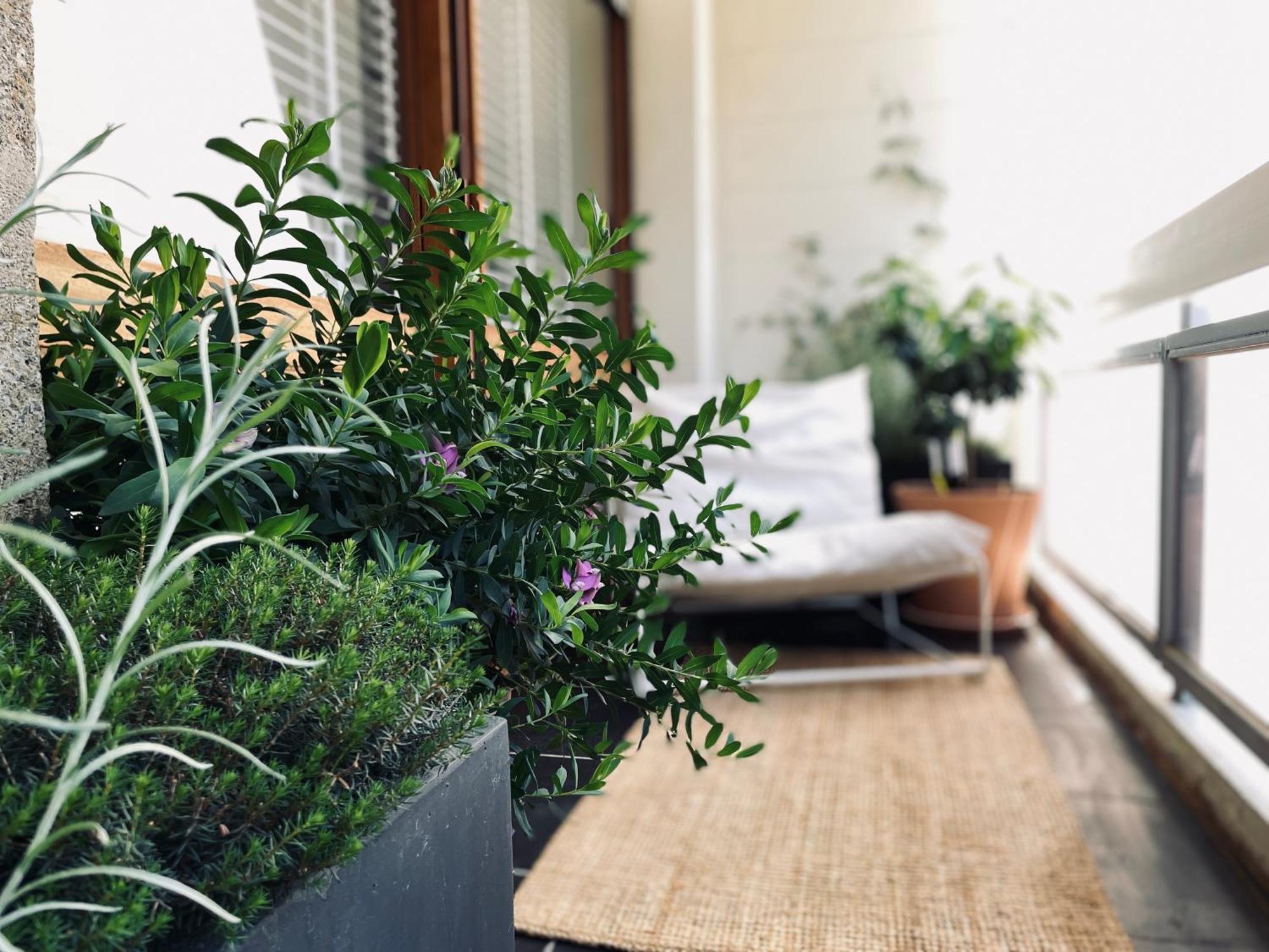 Design 110M2 2Br Terrace & Parking Near Center Lejlighed Aix-en-Provence Eksteriør billede